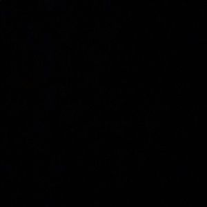 Meet your Posher, Wisley